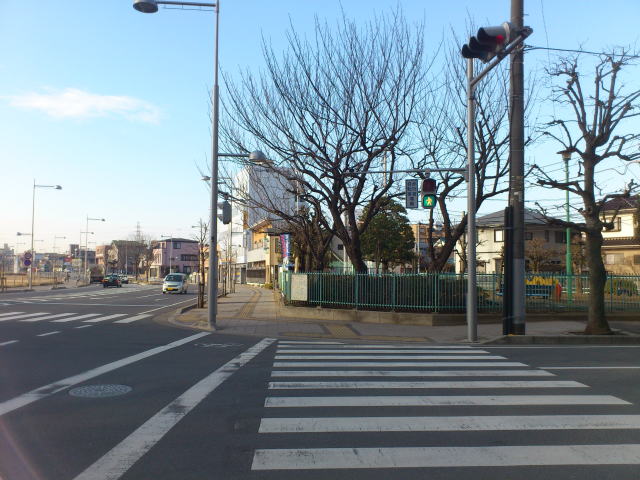 川越駅西口脇田本町公園前の横断歩道
